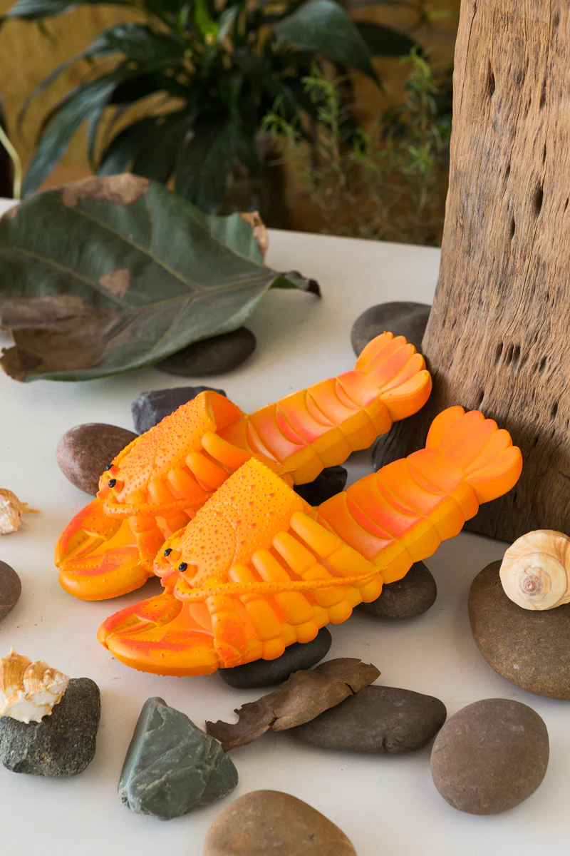 Lobster Slippers Slides - Maibulun - Image 11