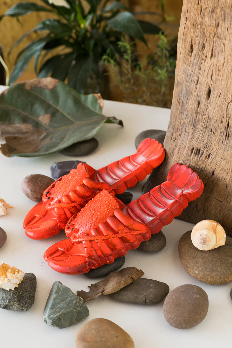 Lobster Slippers Slides - Maibulun - Image 3