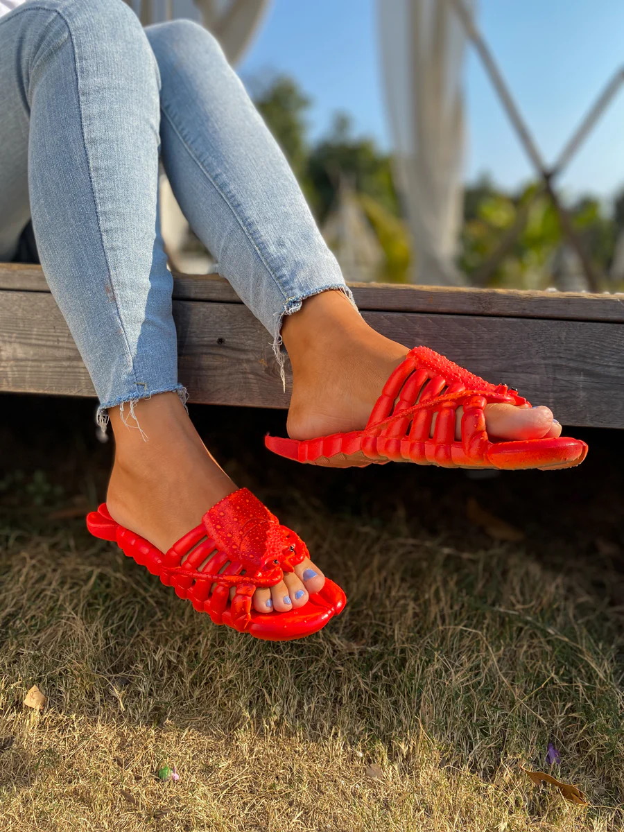 Lobster Slippers Slides - Maibulun - Image 4