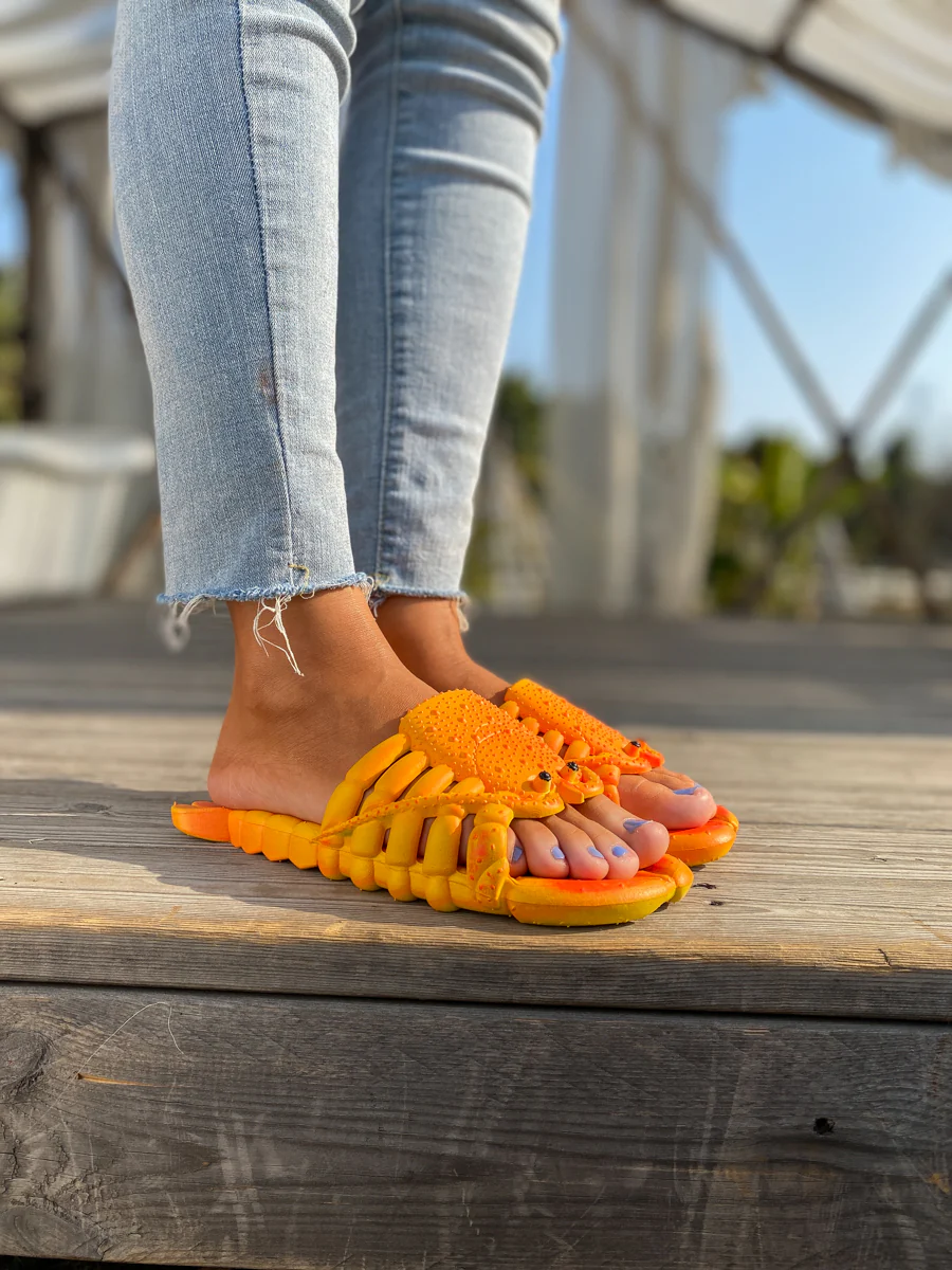 Lobster Slippers Slides - Maibulun - Image 8